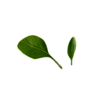 floating veggies